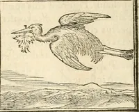 An illustration from Hieroglyphica, sive, De sacris Aegyptiorvm aliarvmqve gentivm literis commentarij (1567)