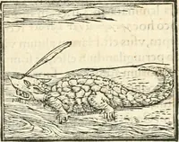 Picture 110 of 317 from Hieroglyphica, sive, De sacris Aegyptiorvm aliarvmqve gentivm literis commentarij (1567), leaf 266