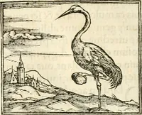 An illustration from Hieroglyphica, sive, De sacris Aegyptiorvm aliarvmqve gentivm literis commentarij (1567)