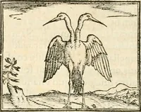 An illustration from Hieroglyphica, sive, De sacris Aegyptiorvm aliarvmqve gentivm literis commentarij (1567)