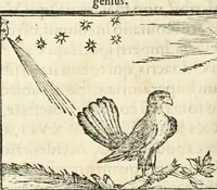 An illustration from Hieroglyphica, sive, De sacris Aegyptiorvm aliarvmqve gentivm literis commentarij (1567)