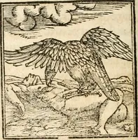 An illustration from Hieroglyphica, sive, De sacris Aegyptiorvm aliarvmqve gentivm literis commentarij (1567)