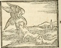 An illustration from Hieroglyphica, sive, De sacris Aegyptiorvm aliarvmqve gentivm literis commentarij (1567)