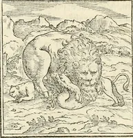 An illustration from Hieroglyphica, sive, De sacris Aegyptiorvm aliarvmqve gentivm literis commentarij (1567)