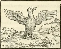 Picture 123 of 317 from Hieroglyphica, sive, De sacris Aegyptiorvm aliarvmqve gentivm literis commentarij (1567), leaf 299
