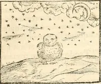 An illustration from Hieroglyphica, sive, De sacris Aegyptiorvm aliarvmqve gentivm literis commentarij (1567)