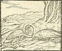 An illustration from Hieroglyphica, sive, De sacris Aegyptiorvm aliarvmqve gentivm literis commentarij (1567)