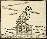 An illustration from Hieroglyphica, sive, De sacris Aegyptiorvm aliarvmqve gentivm literis commentarij (1567)