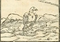 An illustration from Hieroglyphica, sive, De sacris Aegyptiorvm aliarvmqve gentivm literis commentarij (1567)