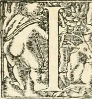 Picture 142 of 317 from Hieroglyphica, sive, De sacris Aegyptiorvm aliarvmqve gentivm literis commentarij (1567), leaf 351