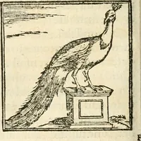 An illustration from Hieroglyphica, sive, De sacris Aegyptiorvm aliarvmqve gentivm literis commentarij (1567)