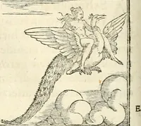 Picture 144 of 317 from Hieroglyphica, sive, De sacris Aegyptiorvm aliarvmqve gentivm literis commentarij (1567), leaf 353