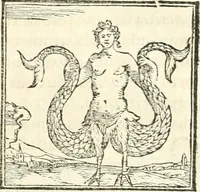 Picture 145 of 317 from Hieroglyphica, sive, De sacris Aegyptiorvm aliarvmqve gentivm literis commentarij (1567), leaf 354