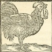 An illustration from Hieroglyphica, sive, De sacris Aegyptiorvm aliarvmqve gentivm literis commentarij (1567)