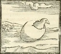 An illustration from Hieroglyphica, sive, De sacris Aegyptiorvm aliarvmqve gentivm literis commentarij (1567)