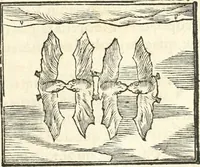 An illustration from Hieroglyphica, sive, De sacris Aegyptiorvm aliarvmqve gentivm literis commentarij (1567)