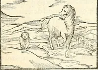 An illustration from Hieroglyphica, sive, De sacris Aegyptiorvm aliarvmqve gentivm literis commentarij (1567)
