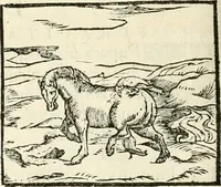 An illustration from Hieroglyphica, sive, De sacris Aegyptiorvm aliarvmqve gentivm literis commentarij (1567)
