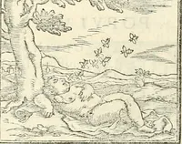 An illustration from Hieroglyphica, sive, De sacris Aegyptiorvm aliarvmqve gentivm literis commentarij (1567)