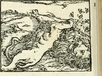 Picture 159 of 317 from Hieroglyphica, sive, De sacris Aegyptiorvm aliarvmqve gentivm literis commentarij (1567), leaf 385
