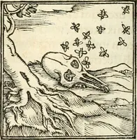 An illustration from Hieroglyphica, sive, De sacris Aegyptiorvm aliarvmqve gentivm literis commentarij (1567)