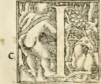 An illustration from Hieroglyphica, sive, De sacris Aegyptiorvm aliarvmqve gentivm literis commentarij (1567)