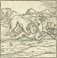 An illustration from Hieroglyphica, sive, De sacris Aegyptiorvm aliarvmqve gentivm literis commentarij (1567)