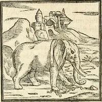 Picture 20 of 317 from Hieroglyphica, sive, De sacris Aegyptiorvm aliarvmqve gentivm literis commentarij (1567), leaf 45