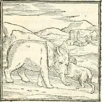 An illustration from Hieroglyphica, sive, De sacris Aegyptiorvm aliarvmqve gentivm literis commentarij (1567)