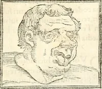 An illustration from Hieroglyphica, sive, De sacris Aegyptiorvm aliarvmqve gentivm literis commentarij (1567)