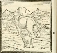 Picture 22 of 317 from Hieroglyphica, sive, De sacris Aegyptiorvm aliarvmqve gentivm literis commentarij (1567), leaf 47