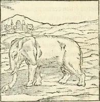 Picture 23 of 317 from Hieroglyphica, sive, De sacris Aegyptiorvm aliarvmqve gentivm literis commentarij (1567), leaf 47