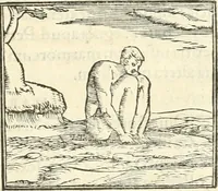 An illustration from Hieroglyphica, sive, De sacris Aegyptiorvm aliarvmqve gentivm literis commentarij (1567)