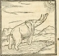 Picture 24 of 317 from Hieroglyphica, sive, De sacris Aegyptiorvm aliarvmqve gentivm literis commentarij (1567), leaf 49