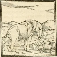 An illustration from Hieroglyphica, sive, De sacris Aegyptiorvm aliarvmqve gentivm literis commentarij (1567)
