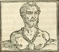 An illustration from Hieroglyphica, sive, De sacris Aegyptiorvm aliarvmqve gentivm literis commentarij (1567)