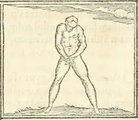An illustration from Hieroglyphica, sive, De sacris Aegyptiorvm aliarvmqve gentivm literis commentarij (1567)