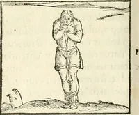 An illustration from Hieroglyphica, sive, De sacris Aegyptiorvm aliarvmqve gentivm literis commentarij (1567)