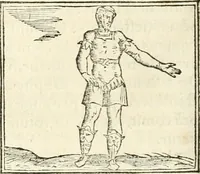 An illustration from Hieroglyphica, sive, De sacris Aegyptiorvm aliarvmqve gentivm literis commentarij (1567)