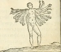 Picture 197 of 317 from Hieroglyphica, sive, De sacris Aegyptiorvm aliarvmqve gentivm literis commentarij (1567), leaf 515
