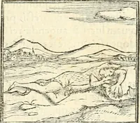 Picture 199 of 317 from Hieroglyphica, sive, De sacris Aegyptiorvm aliarvmqve gentivm literis commentarij (1567), leaf 520