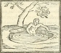 An illustration from Hieroglyphica, sive, De sacris Aegyptiorvm aliarvmqve gentivm literis commentarij (1567)