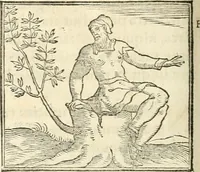 An illustration from Hieroglyphica, sive, De sacris Aegyptiorvm aliarvmqve gentivm literis commentarij (1567)