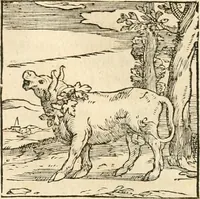 An illustration from Hieroglyphica, sive, De sacris Aegyptiorvm aliarvmqve gentivm literis commentarij (1567)