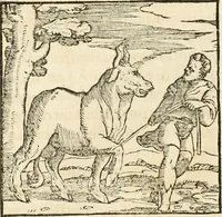 Picture 31 of 317 from Hieroglyphica, sive, De sacris Aegyptiorvm aliarvmqve gentivm literis commentarij (1567), leaf 57