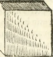 An illustration from Hieroglyphica, sive, De sacris Aegyptiorvm aliarvmqve gentivm literis commentarij (1567)
