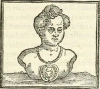 An illustration from Hieroglyphica, sive, De sacris Aegyptiorvm aliarvmqve gentivm literis commentarij (1567)