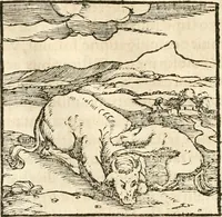 Picture 34 of 317 from Hieroglyphica, sive, De sacris Aegyptiorvm aliarvmqve gentivm literis commentarij (1567), leaf 65