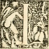 Picture 256 of 317 from Hieroglyphica, sive, De sacris Aegyptiorvm aliarvmqve gentivm literis commentarij (1567), leaf 716
