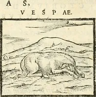 An illustration from Hieroglyphica, sive, De sacris Aegyptiorvm aliarvmqve gentivm literis commentarij (1567)